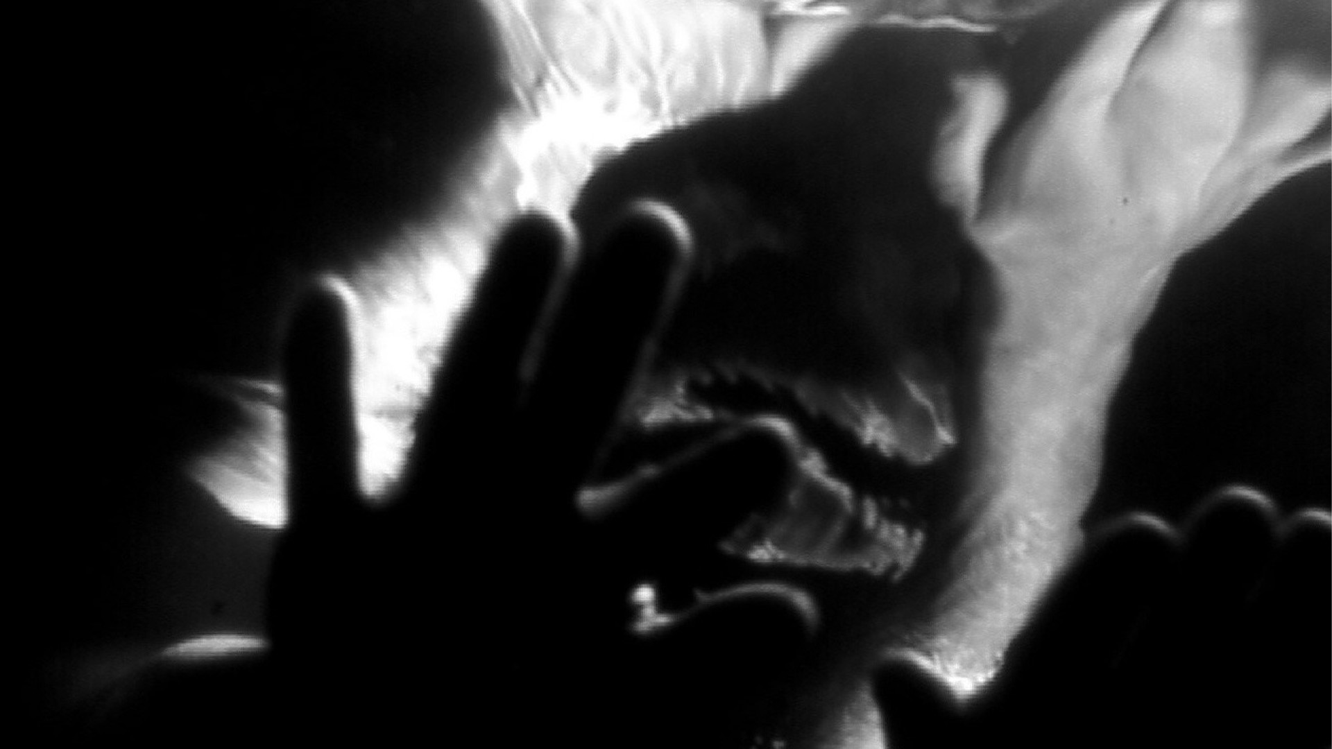 Şiirsel Manipülasyonlar görsel 2